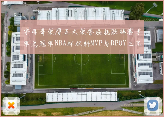 字母哥荣膺五大荣誉成就欧锦赛季军总冠军NBA杯双料MVP与DPOY三兄弟同队共创辉煌