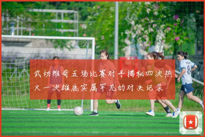 武切维奇五场比赛对手揭秘四次热火一次雄鹿实属罕见的对决记录